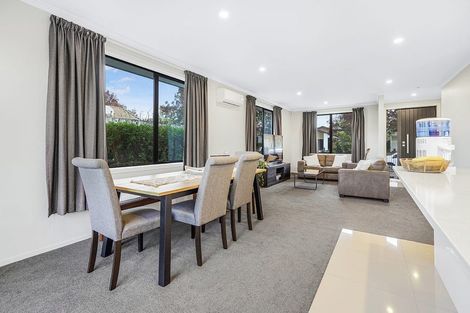 Photo of property in 1b Meridian Place, Flagstaff, Hamilton, 3210