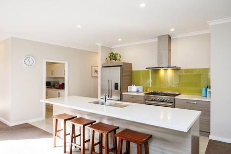 Photo of property in 5 Heritage Place, Terrace End, Palmerston North, 4410