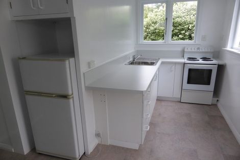 Photo of property in 66 Ann Street, Kaikorai, Dunedin, 9010