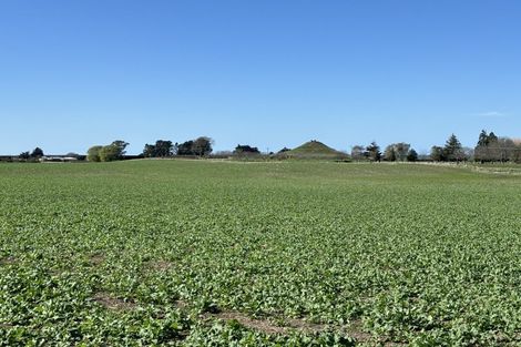 Photo of property in 470 Fortification Road, Totara, Oamaru, 9495