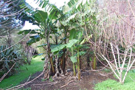 Photo of property in 210a Pukenui Road, Kaiwaka, 0573