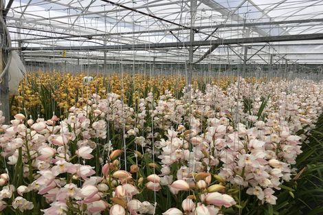 Photo of property in 2995 Tiki Sh25 Road, Preece Point, Coromandel, 3581