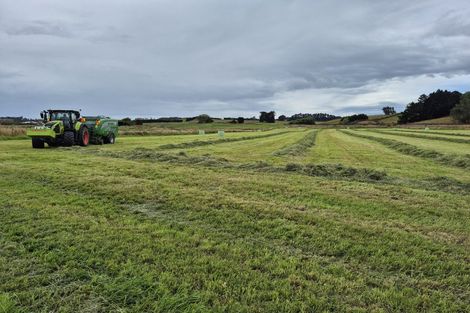 Photo of property in 223 Kaitangata Highway, Stirling, 9231