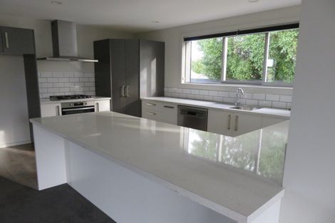 Photo of property in 221a King Street, Temuka, 7920