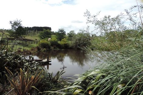 Photo of property in 311 Henry Watson Road, Matamata, 3472