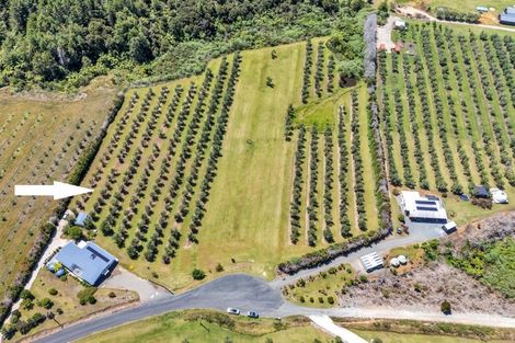 Photo of property in 79 Leccino Valley Road, Mangonui, 0494