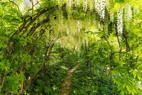 Photo of property in 31 Inkerman Street, Renwick, 7204