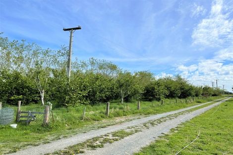 Photo of property in 25 Newport Street, Milton, 9220