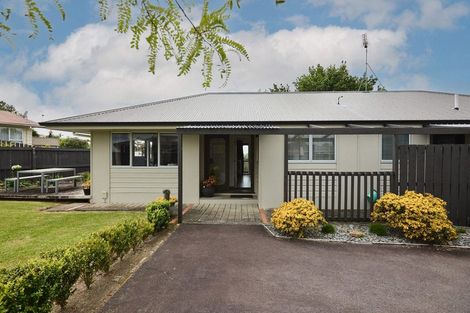 Photo of property in 132 Cambridge Road, Bethlehem, Tauranga, 3110