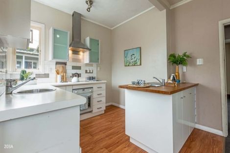 Photo of property in 203 College Street, West End, Palmerston North, 4412