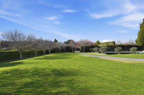 Photo of property in 61 Clarke Road, Te Puna, Tauranga, 3176