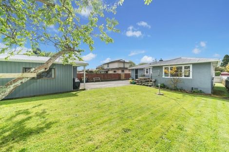 Photo of property in 29 Galway Avenue, Hokowhitu, Palmerston North, 4410