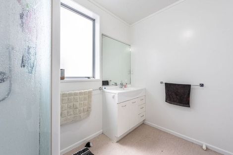 Photo of property in 11a Hanson Street, Mount Cook, Wellington, 6021