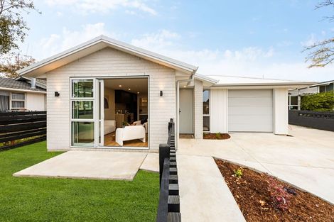 Photo of property in 18 Patrick Place, Fitzroy, Hamilton, 3206