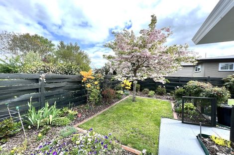 Photo of property in 1c Nelson Street, Dannevirke, 4930