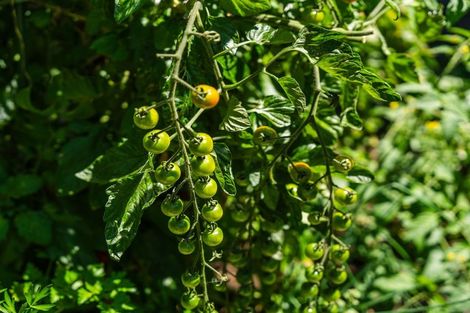 Photo of property in 26 The Circle, Nukuhau, Taupo, 3330