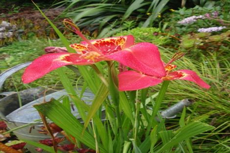 Photo of property in 55 Maungaraki Road, Korokoro, Lower Hutt, 5012