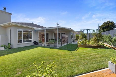 Photo of property in 12 Amberley Place, Flagstaff, Hamilton, 3210