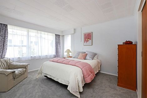 Photo of property in 220a Wolseley Street, Mayfair, Hastings, 4122
