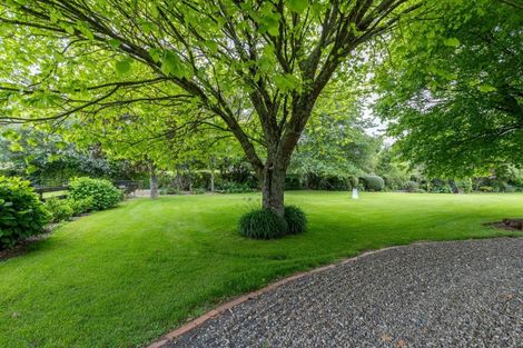 Photo of property in 37 Scotsman Valley Road, Tauwhare, Hamilton, 3287