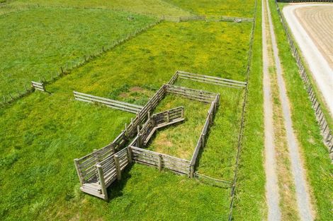 Photo of property in 81 Pukepapa Road, Marton, 4710