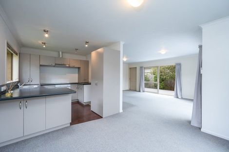 Photo of property in 480 Brook Street, The Brook, Nelson, 7010