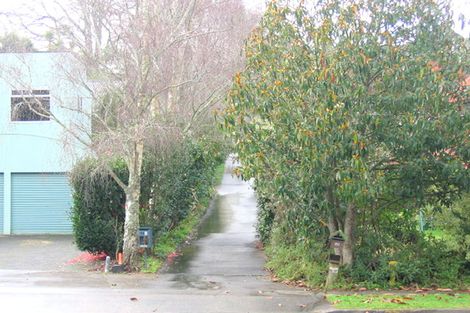 Photo of property in 60 Malcolm Street, Riverlea, Hamilton, 3216