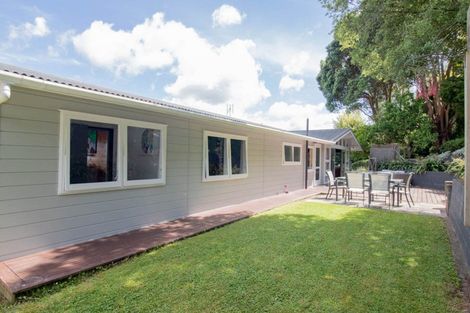Photo of property in 49 Wood Street, Paeroa, 3600