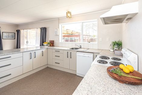 Photo of property in 15 Downes Avenue, Springvale, Whanganui, 4501