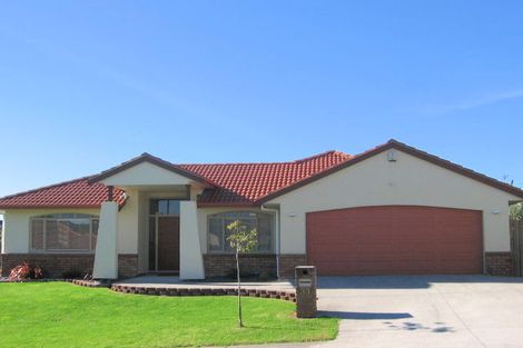 Photo of property in 31 Highfields Terrace, Henderson, Auckland, 0612