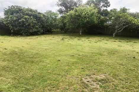 Photo of property in 36 Gilliam Street, New Lynn, Auckland, 0600