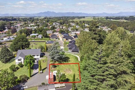 Photo of property in 10 Memorial Rise, Morrinsville, 3300