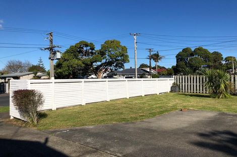 Photo of property in 245a Meola Road, Point Chevalier, Auckland, 1022