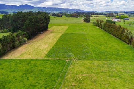 Photo of property in 29 Ruahine Street, Dannevirke, 4930