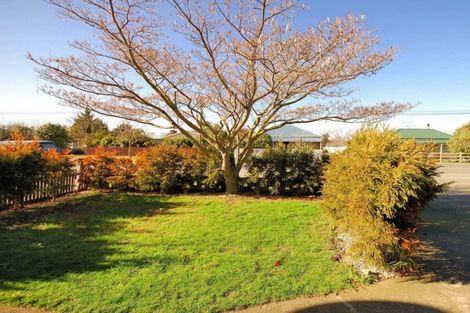 Photo of property in 55 Ashley Street, Rangiora, 7400