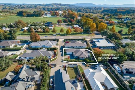 Photo of property in 5 Avocado Lane, Bethlehem, Tauranga, 3110