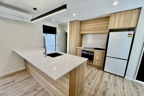 Photo of property in 95c Poulson Street, Addington, Christchurch, 8024