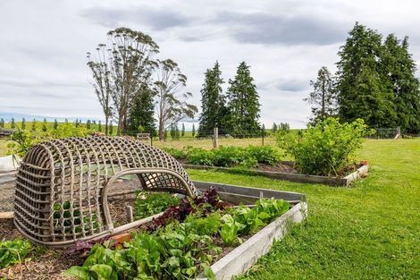 Photo of property in 285 Waihaorunga Road, Waihaorunga, Waimate, 7977