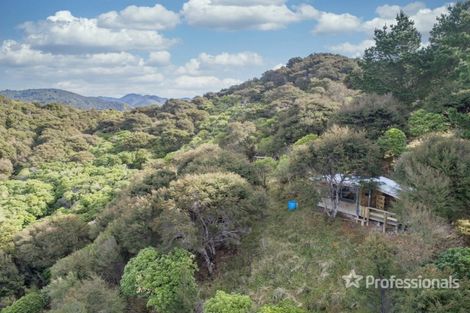 Photo of property in 91 Boar Bush Gully Road, Featherston, 5710