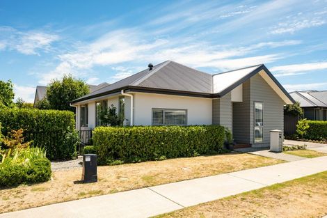 Photo of property in 49 Youngberry Drive, Richmond, 7020