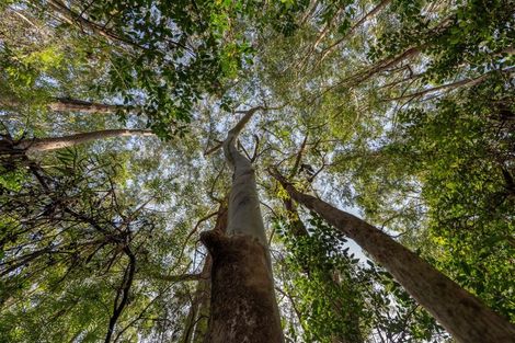 Photo of property in 45b Riverstream Drive, Waipapa, Kerikeri, 0295