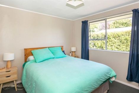 Photo of property in 20 Rousehill Street, Renwick, 7204