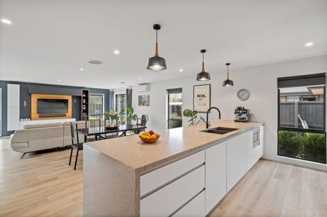 Photo of property in 17 Seymour Drive, Rolleston, 7614