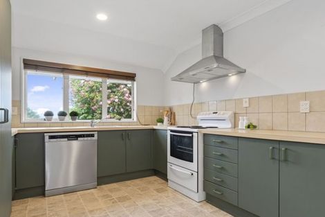 Photo of property in 15 Paine Street, Judea, Tauranga, 3110