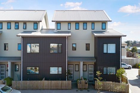 Photo of property in 45 Eileen Newey Place, Henderson, Auckland, 0612