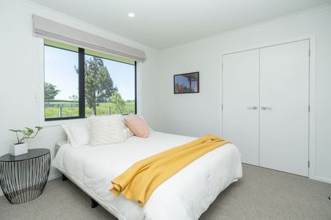Photo of property in 133 Robson Road, Ngahinapouri, Hamilton, 3290