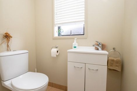 Photo of property in 29 Benner Drive, Ngatea, 3503