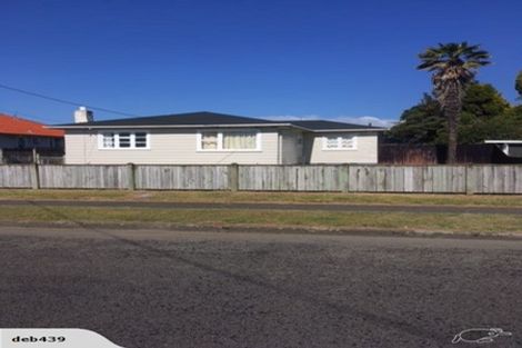 Photo of property in 17 Reeve Street, Levin, 5510