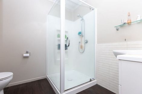 Photo of property in 54b Willoughby Street, Whitiora, Hamilton, 3200