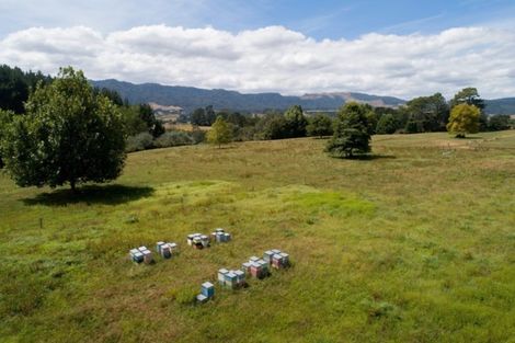 Photo of property in 3786 State Highway 29, Te Poi, Matamata, 3473